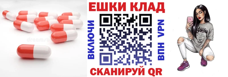 ЭКСТАЗИ Punisher  закладки  это какой сайт  Шали  OMG ССЫЛКА 
