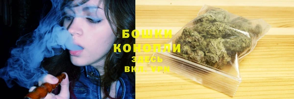 сатива Кодинск