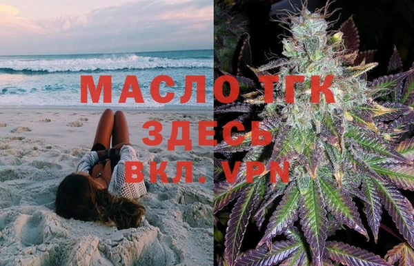 сатива Кодинск