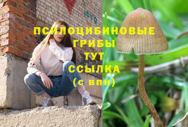 каннабис Кущёвская