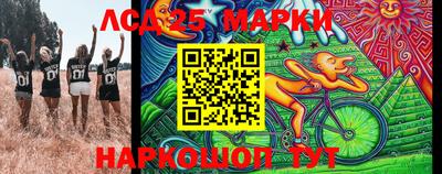 шишки Заволжье