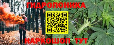 стаф Гусь-Хрустальный