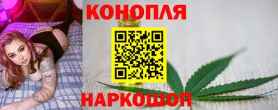 крисы Гусев