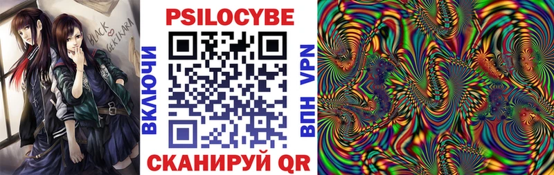 Псилоцибиновые грибы Cubensis  магазин продажи наркотиков  Шали 
