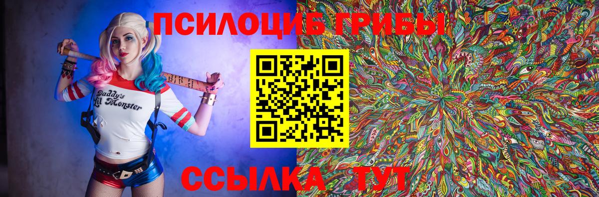 Галлюциногенные грибы ЛСД  как найти закладки  Шали 