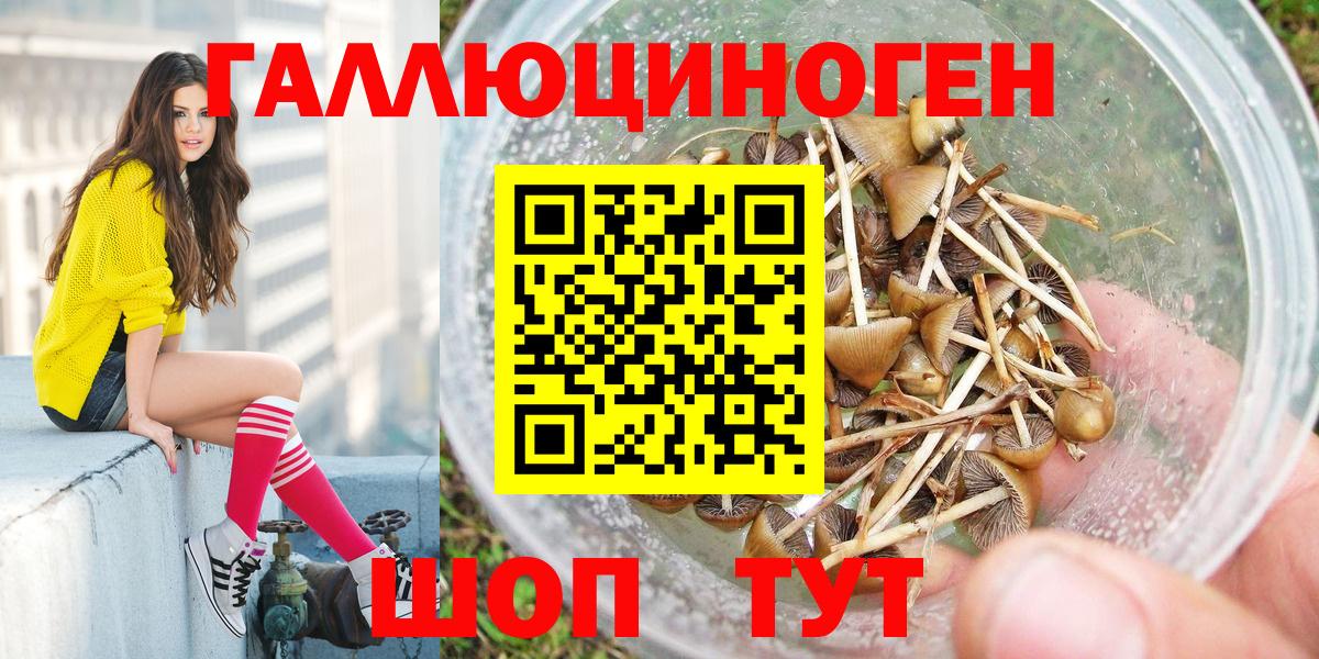 магазин продажи наркотиков  Галлюциногенные грибы Psilocybe  Галлюциногенные грибы мицелий  Вход с VPN  Шали 